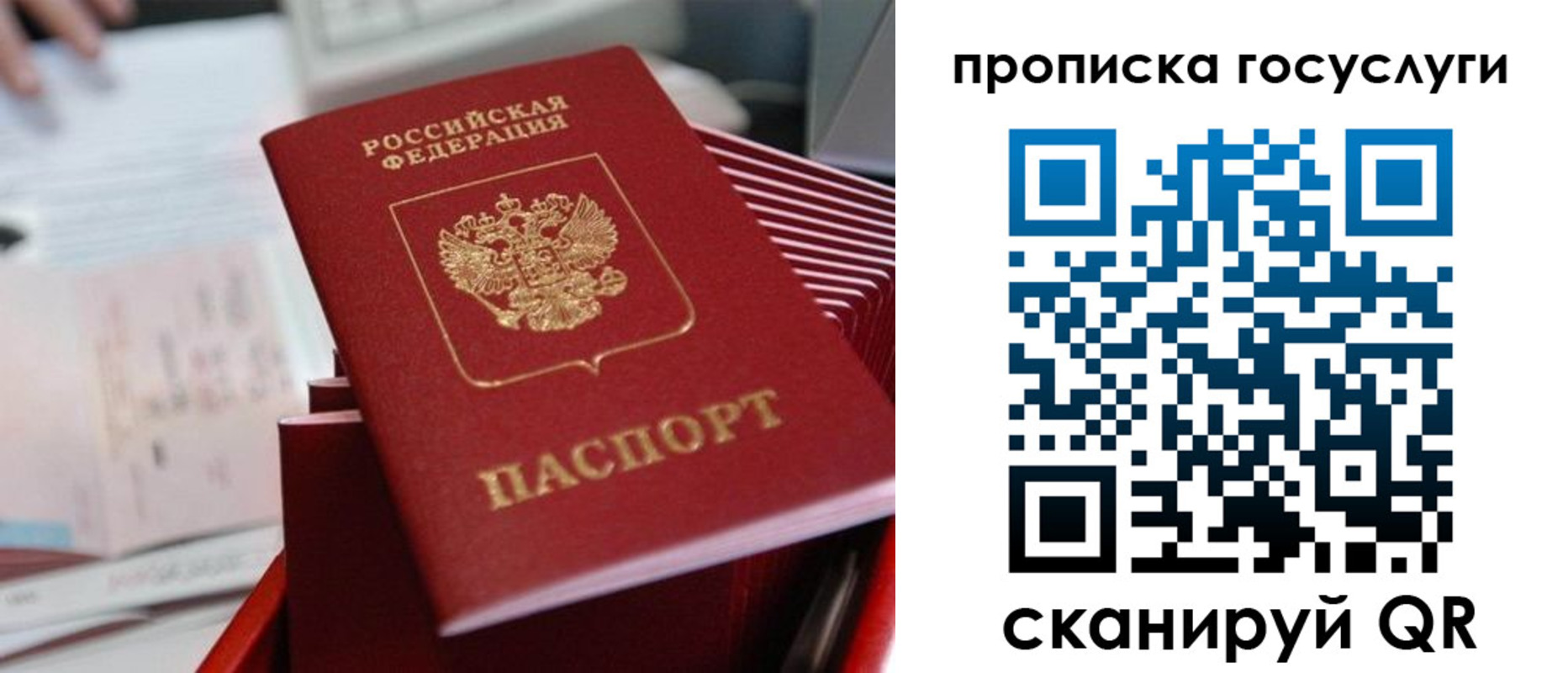 прописка законно в Читинской области